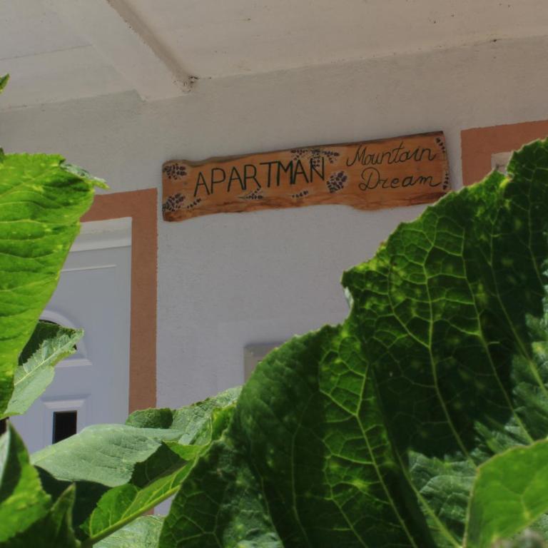 Apartment Mountain Dream - Two-Bedroom Apartment - 16