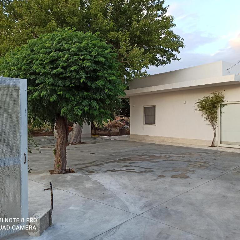 Casa degli Spartani Pina - Appartamento con 2 Camere da Letto - 2