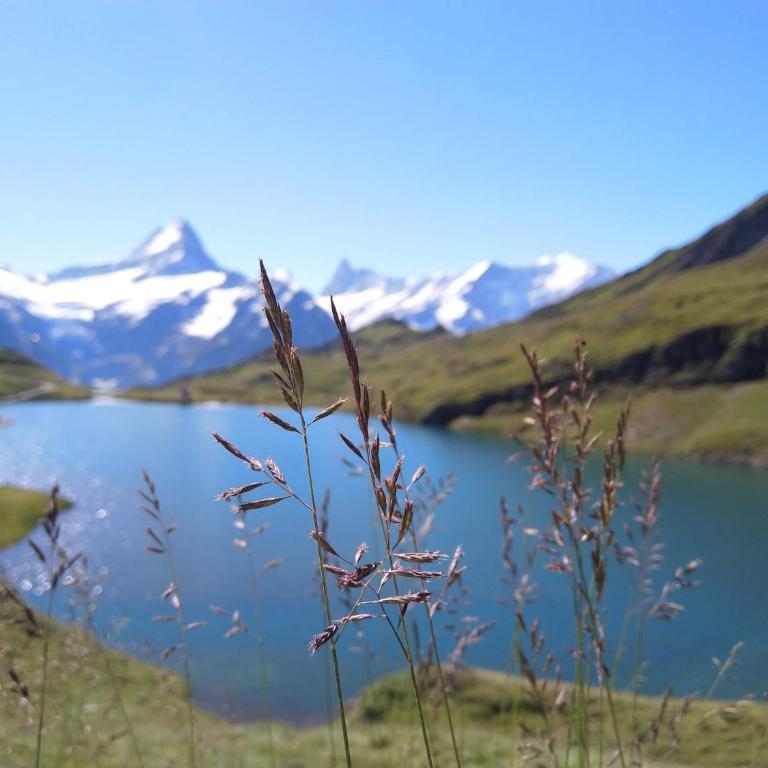 Swiss Interlaken Apartment - Apartment - 15