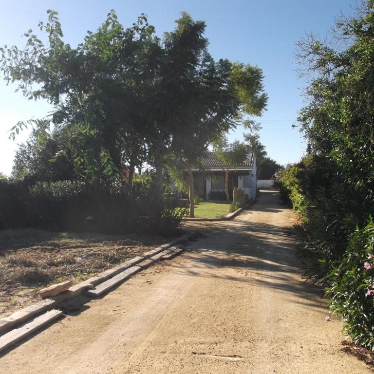 El Olivar de Roche Viejo - Casa Unifamiliar de 2 dormitorios - 22