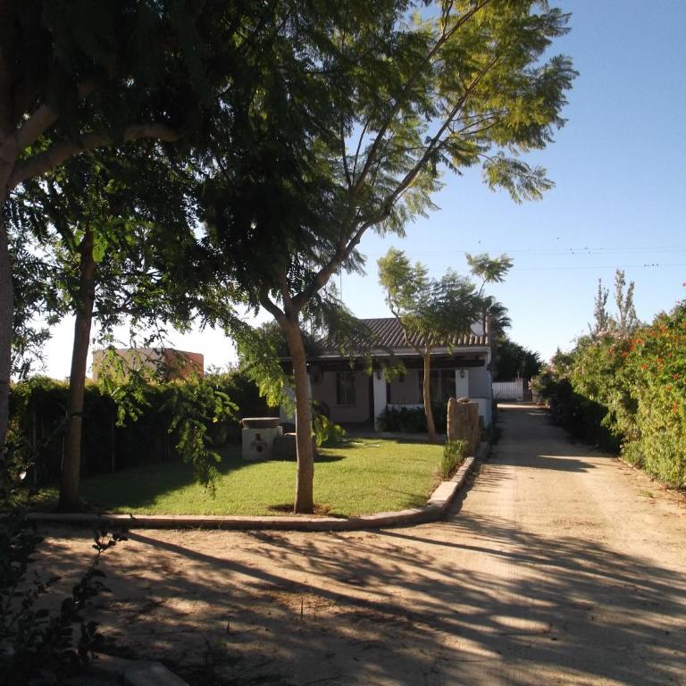 El Olivar de Roche Viejo - Casa con 1 dormitorio - 20