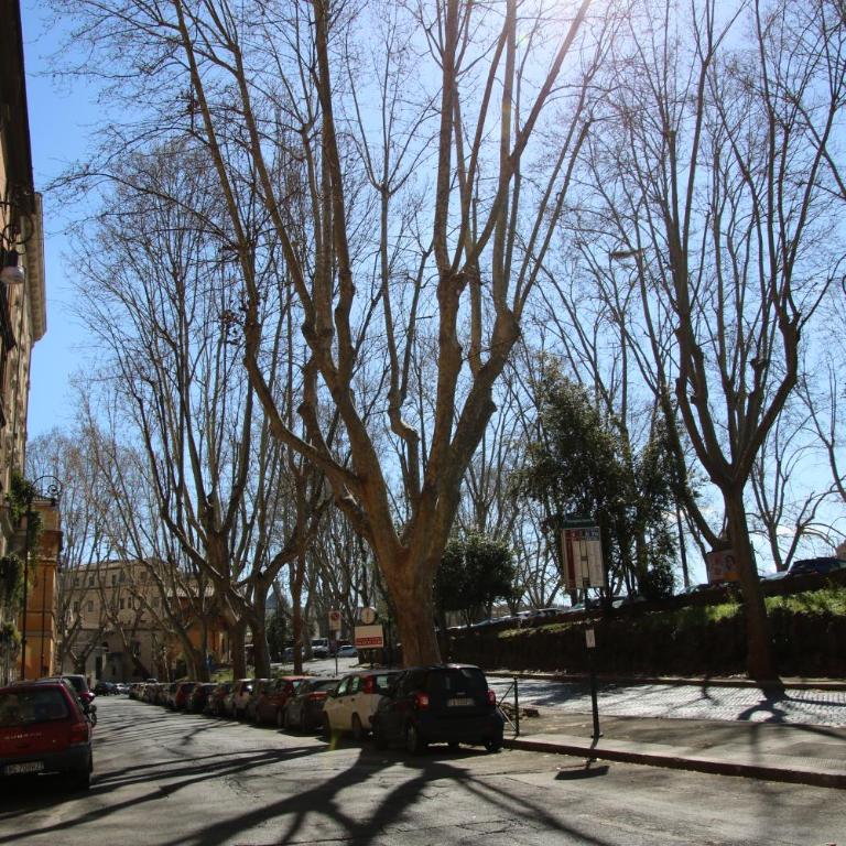 Charme apartment with Spa in Piazza del Popolo - Appartamento con 2 Camere da Letto - 24