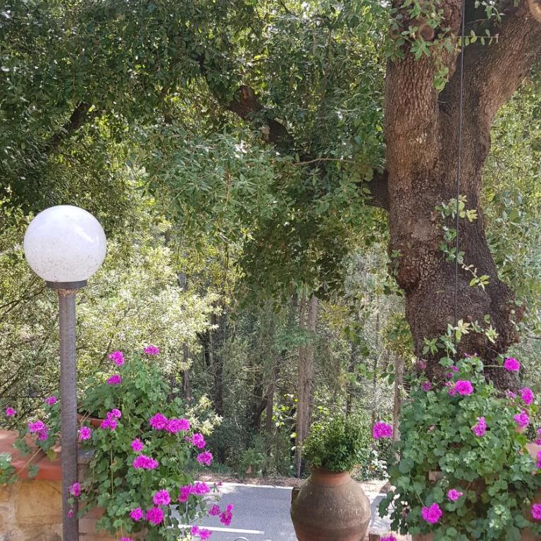 Casa Bruna - Cipresseta del Chianti - Appartamento con 2 Camere da Letto - 36