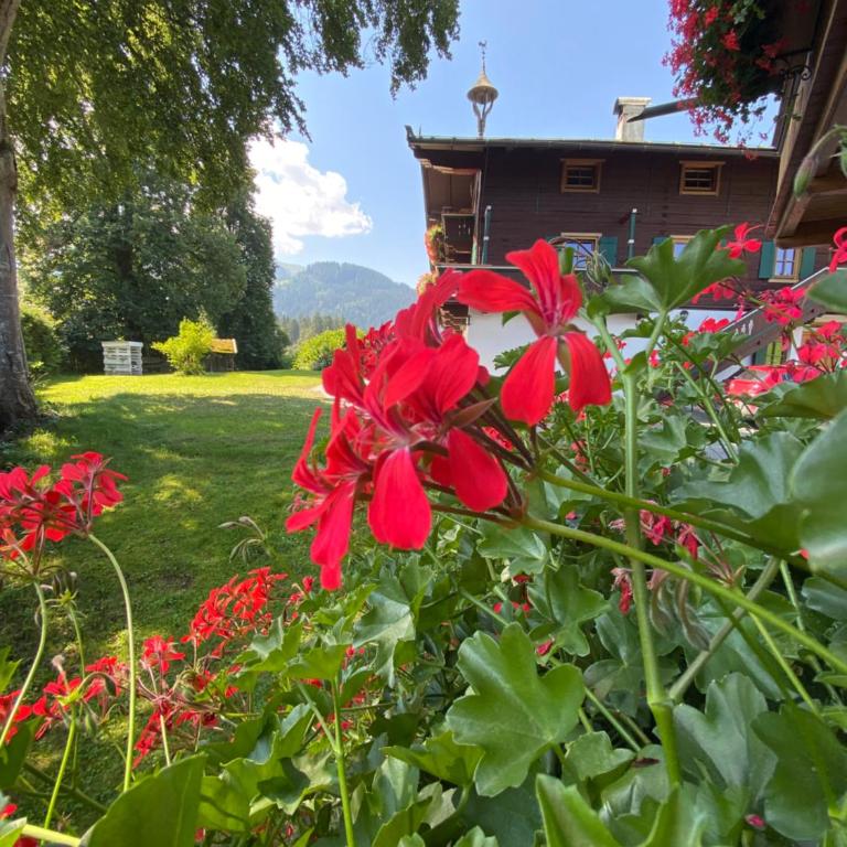 Hof Oberhaus - Apartment mit 2 Schlafzimmern - 6