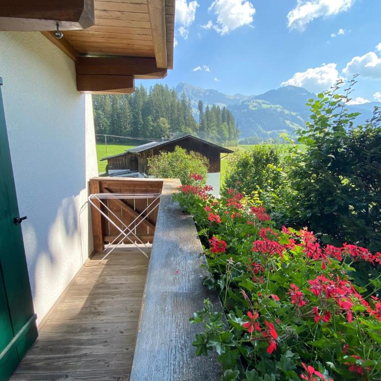 Hof Oberhaus - Apartment mit 1 Schlafzimmer - 7