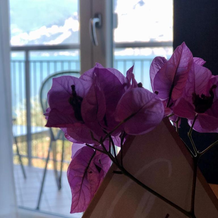 Hotel Garden - Camera Matrimoniale Comfort con Vista Lago - 6