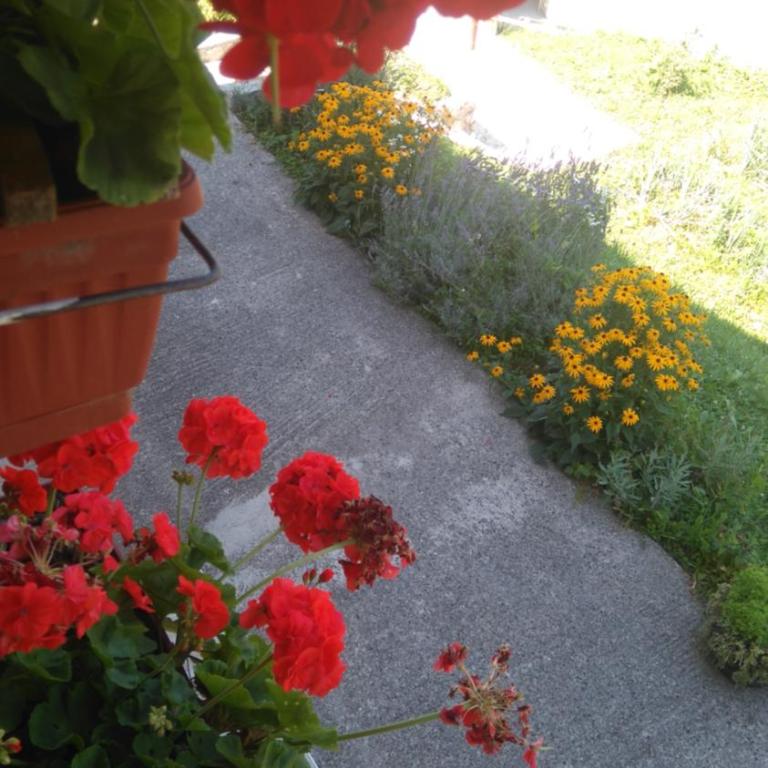 Kuća za odmor Panorama Lohovo Bihać - Three-Bedroom House - 29