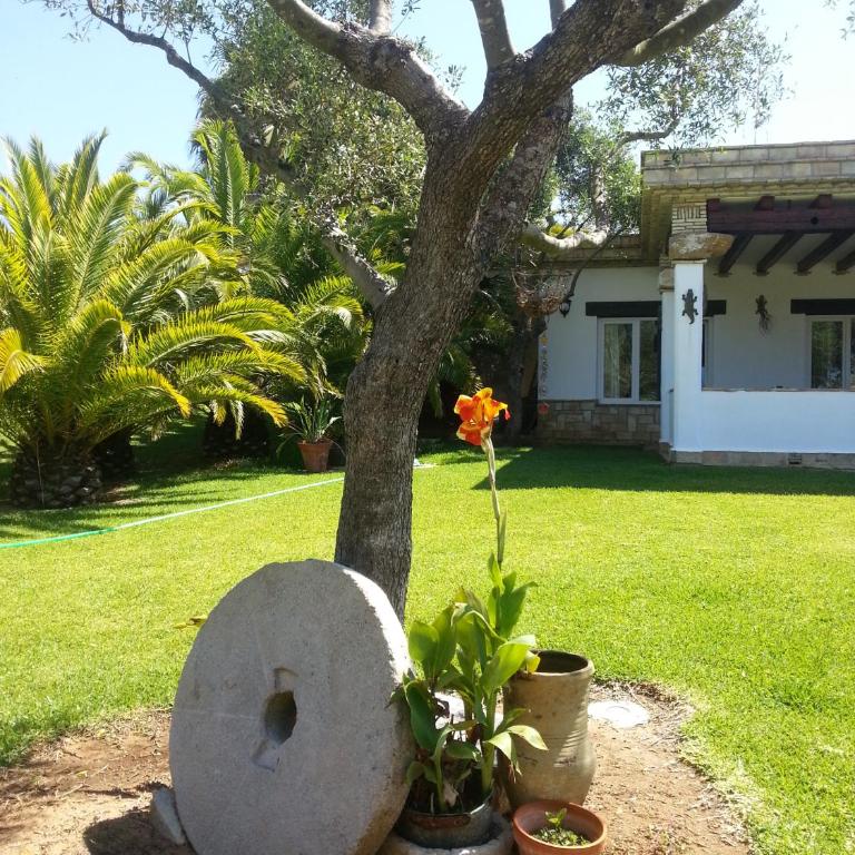 El Olivar de Roche Viejo - Casa con 1 dormitorio - 17