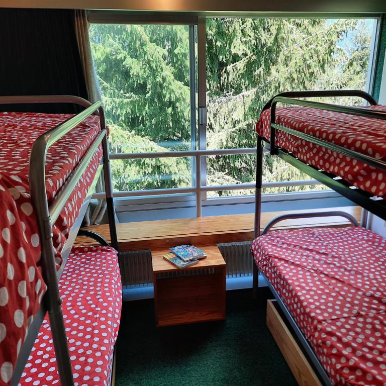 Vetrate sul bosco - Apartment mit 1 Schlafzimmer - 4