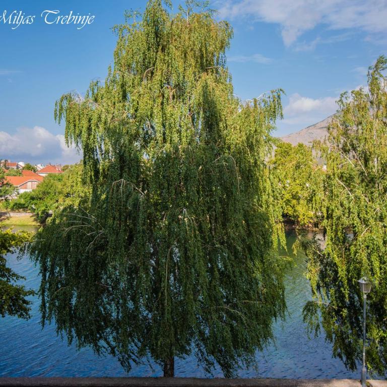 Smještaj Miljas Trebinje - Deluks Soba s Bračnim Krevetom i Pomoćnim Ležajem - 6