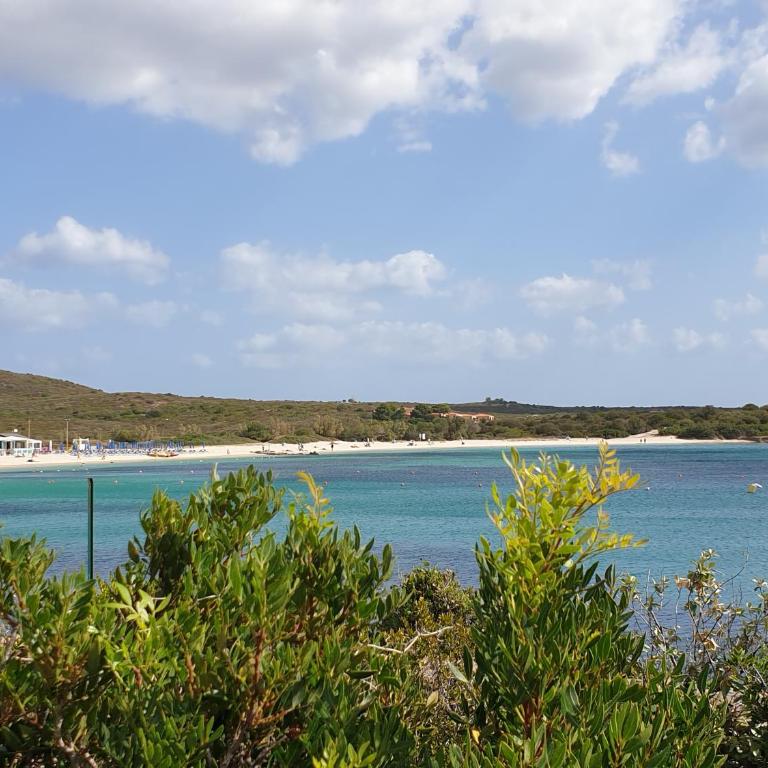 Home on Sardinia beach - Appartamento Monolocale - 43