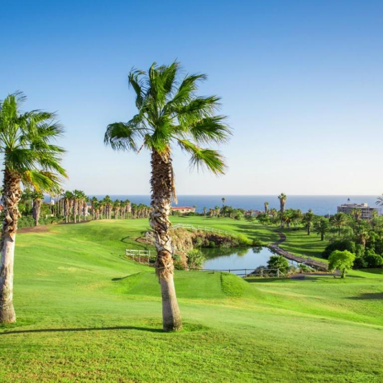 330 - Edf Aguamarina - Vacation Rental Home in the coast line of Golf del Sur - Apartamento con vistas al mar - 55