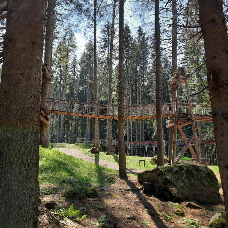 Vetrate sul bosco - Apartment mit 1 Schlafzimmer - 28