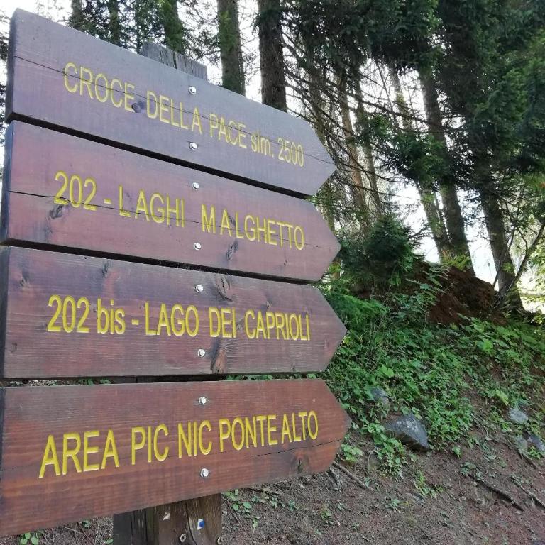 Vetrate sul bosco - Apartment mit 1 Schlafzimmer - 30