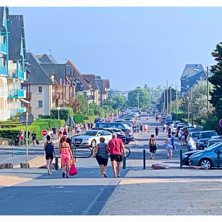 Cabourg, Appartement plain pied avec terrasse accès direct à la plage - Appartamento con 1 Camera da Letto - 21