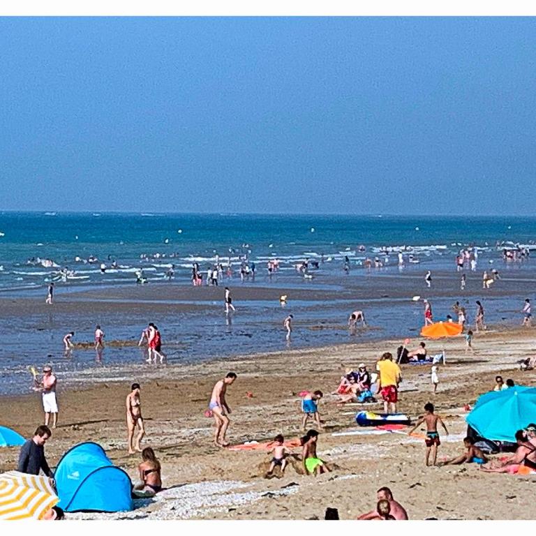 Cabourg, Appartement plain pied avec terrasse accès direct à la plage - Appartamento con 1 Camera da Letto - 19