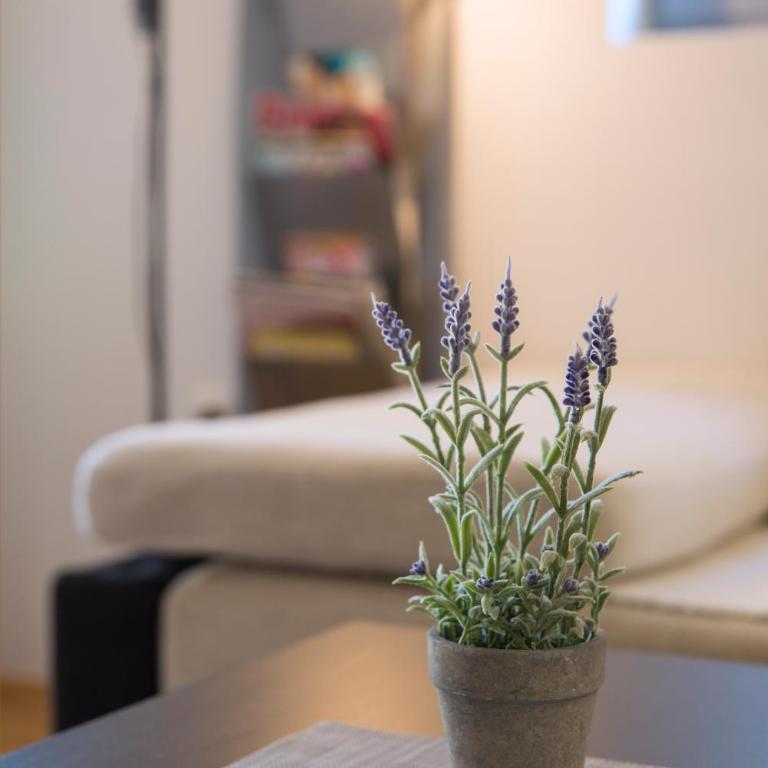 LORDOR Apartment - Apartman - 10