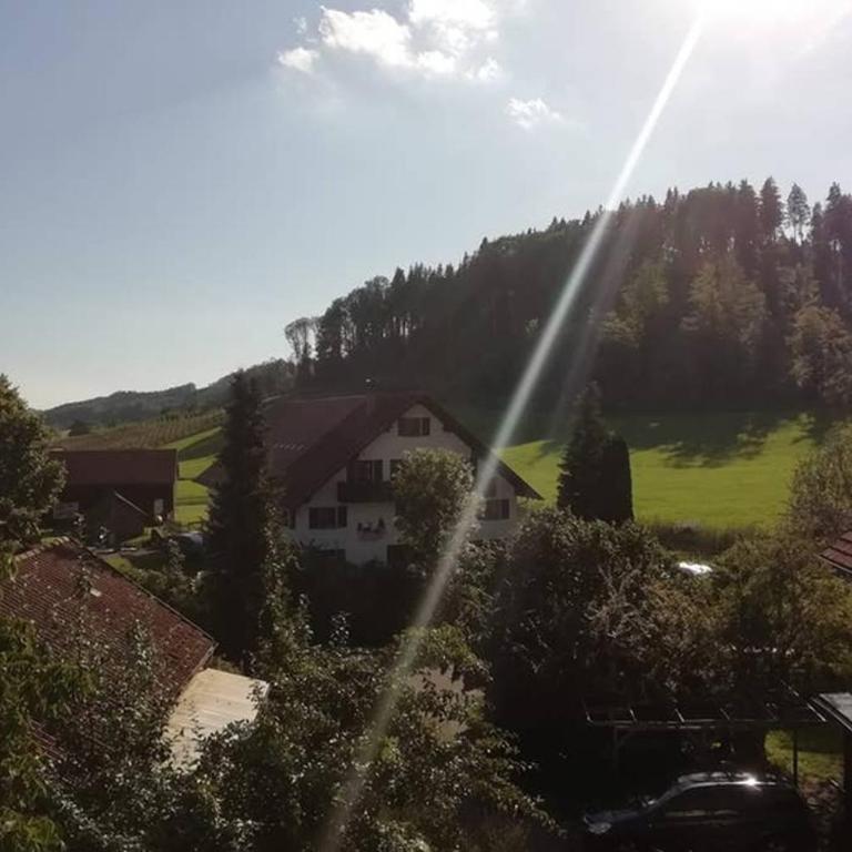 Ferienwohnung Leutkirch offen hell hoch schöne Aussicht - Apartment mit 2 Schlafzimmern - 12