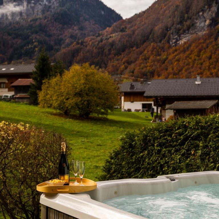 Gite Balnéo La Pomme de Pin - Appartement 2 Chambres avec Terrasse - 13
