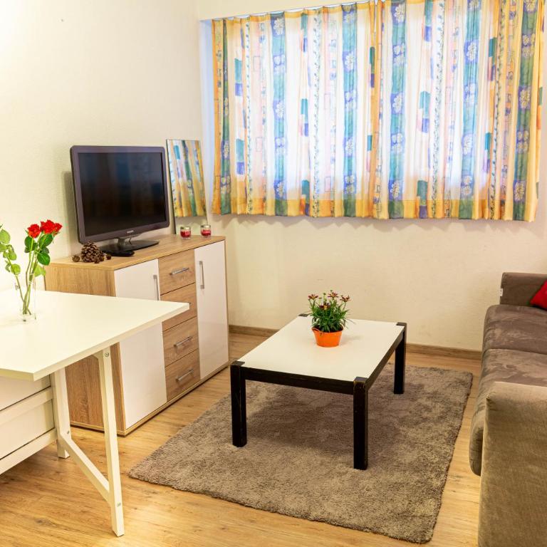 Studio Montana - Appartement 1 Chambre - 2