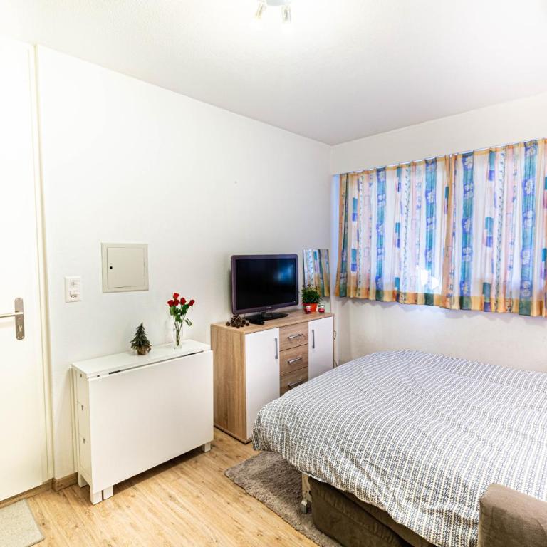 Studio Montana - Appartement 1 Chambre - 5