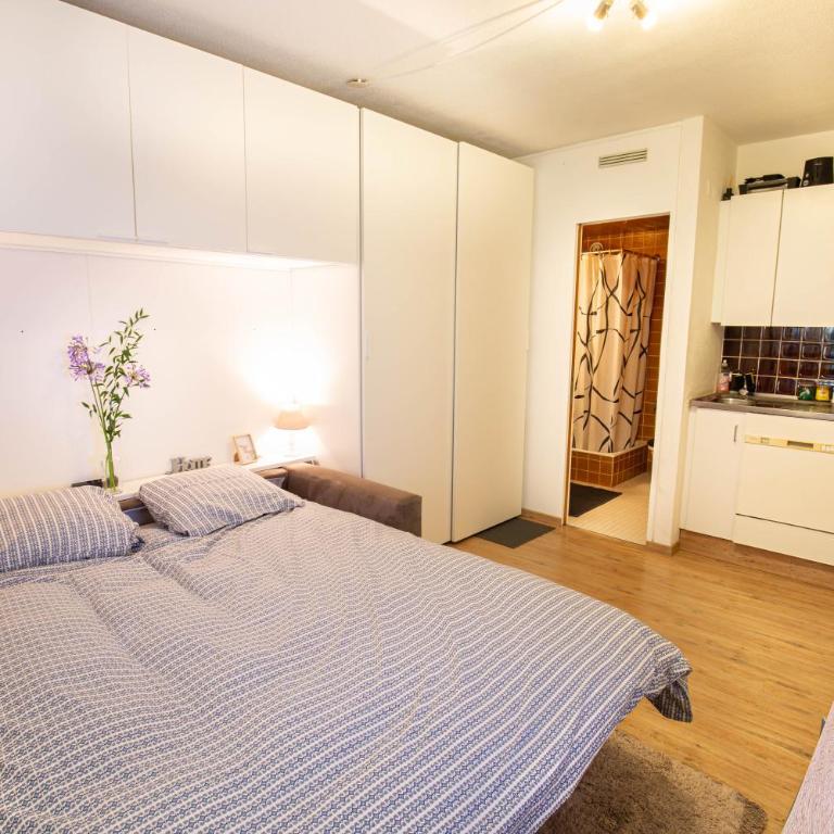 Studio Montana - Appartement 1 Chambre - 1