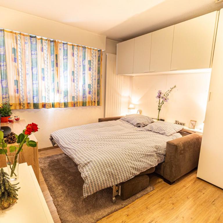 Studio Montana - Appartement 1 Chambre - 7