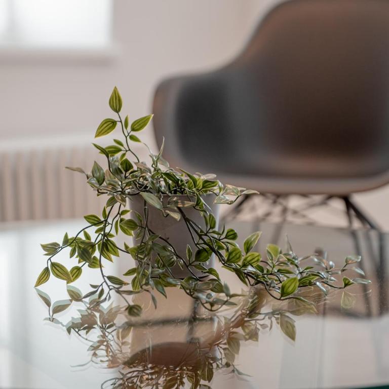 Tergestroom & boutique apartments - Camera Matrimoniale - 7