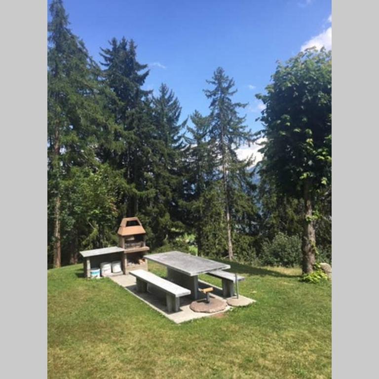Idyllisches Chalet inmitten der Walliser Bergwelt - Apartment mit 2 Schlafzimmern - 2