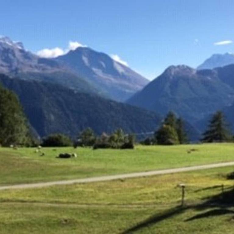 Idyllisches Chalet inmitten der Walliser Bergwelt - Apartment mit 2 Schlafzimmern - 4