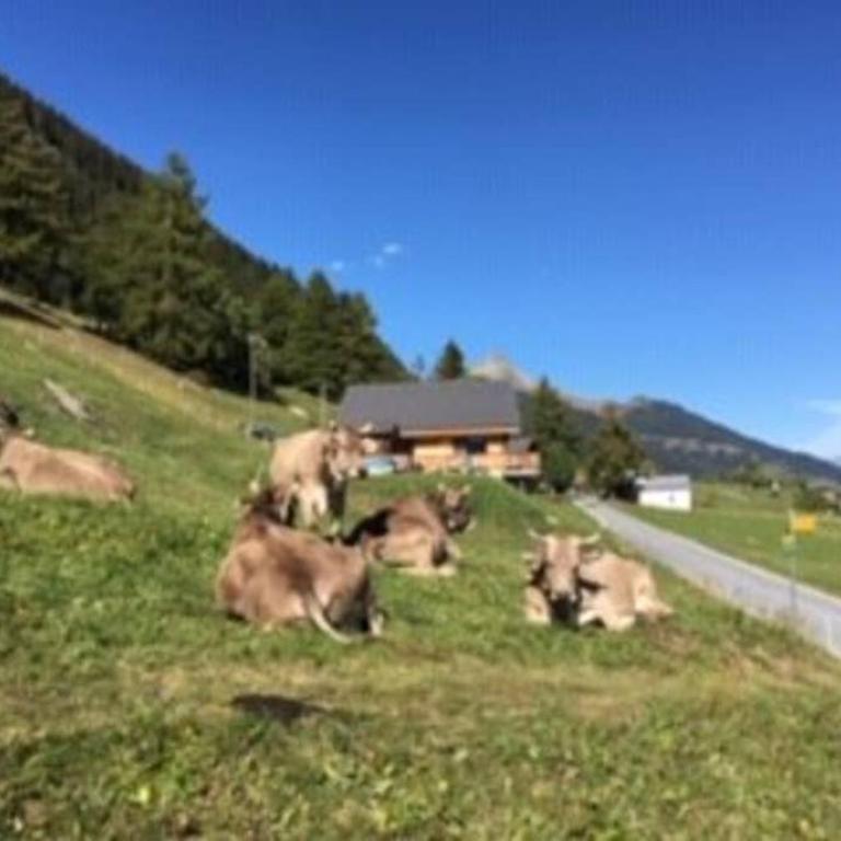 Idyllisches Chalet inmitten der Walliser Bergwelt - Apartment mit 2 Schlafzimmern - 11
