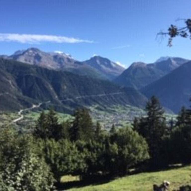 Idyllisches Chalet inmitten der Walliser Bergwelt - Apartment mit 2 Schlafzimmern - 18