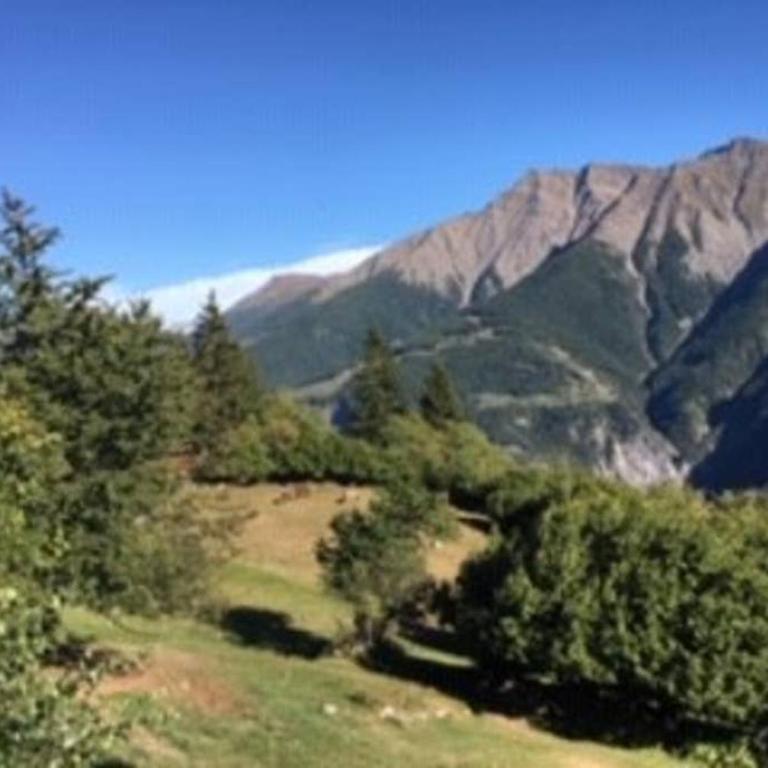 Idyllisches Chalet inmitten der Walliser Bergwelt - Apartment mit 2 Schlafzimmern - 19