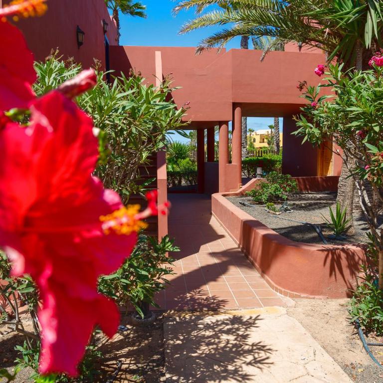 La Rosa dei Venti - Apartamento de 1 dormitorio - 2