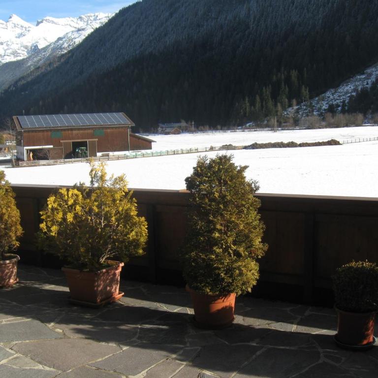 Appartements-Klaus - Studio mit Terrasse - 2