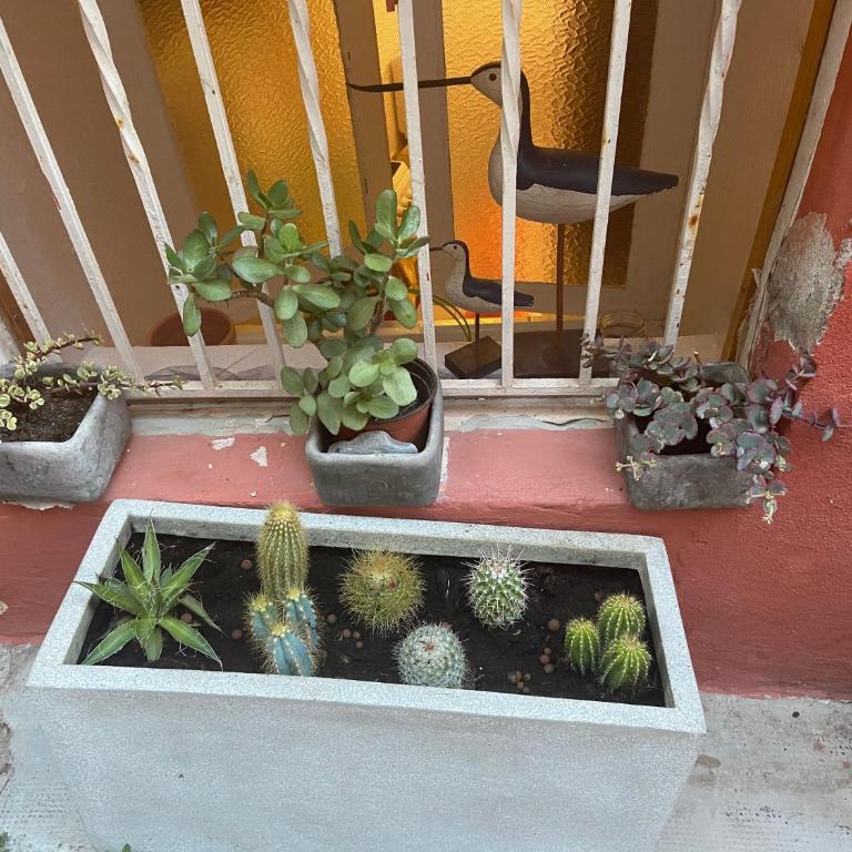 Joli Appart 29m2 en Vieille Ville Menton 2 mins de la mer - Appartement 1 Chambre - 3