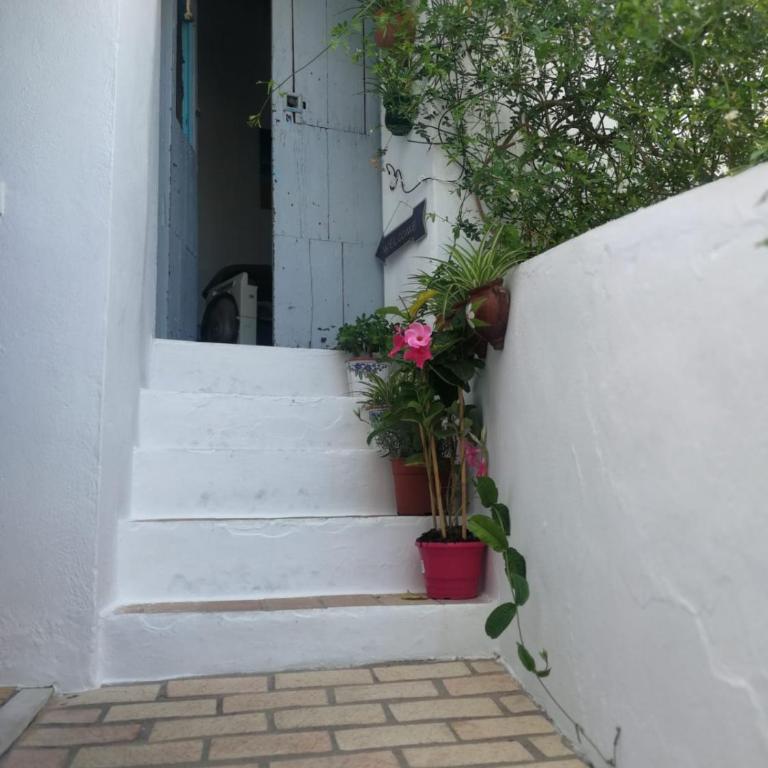 Alojamiento con encanto - Apartamento de 2 dormitorios - 3