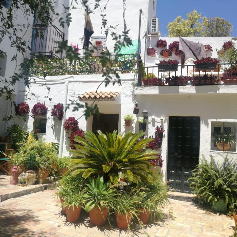 Alojamiento con encanto - Apartamento de 2 dormitorios - 4