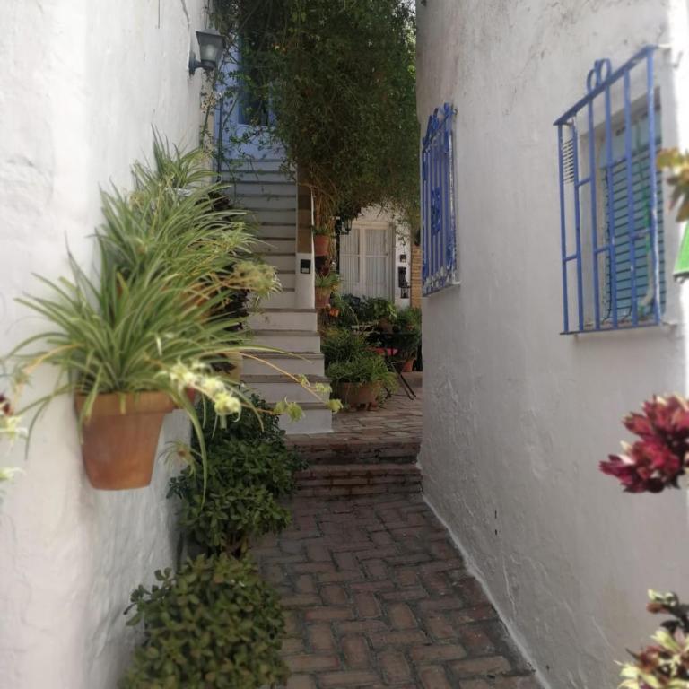 Alojamiento con encanto - Apartamento de 2 dormitorios - 10