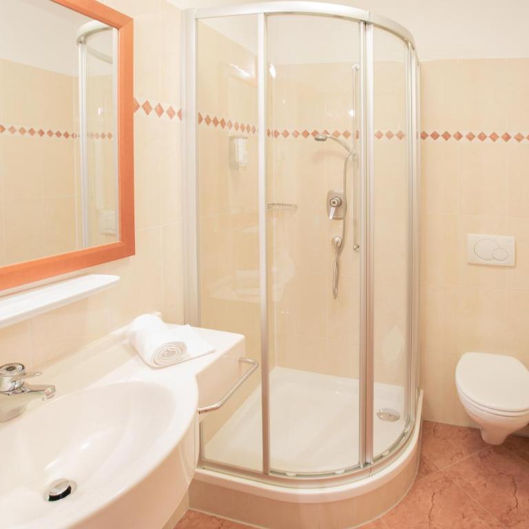 Hotel Eichenhof - Habitación Individual - 3