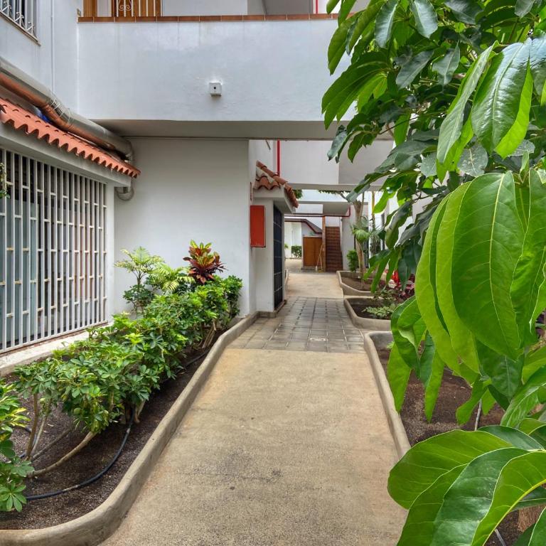 1 Bed Los Cristianos near the Bus Station - Apartamento de 1 dormitorio - 31