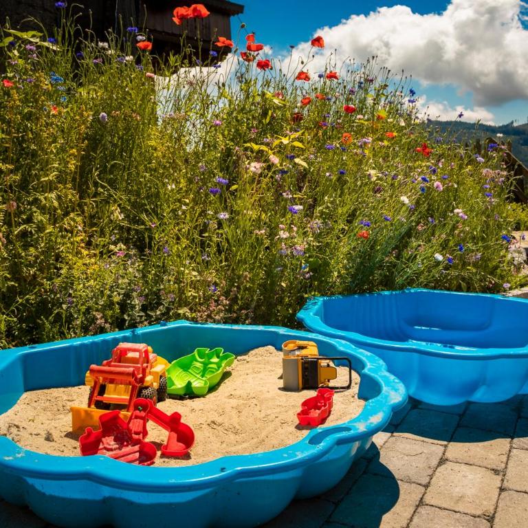 Bio Bauernhof Brandgut - Apartment mit Blick auf die Berge - 25