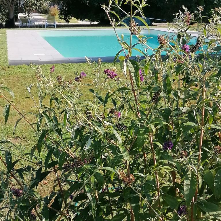 Il Nido - Casa Vacanze - 3