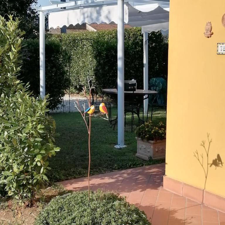 Il Nido - Casa Vacanze - 5