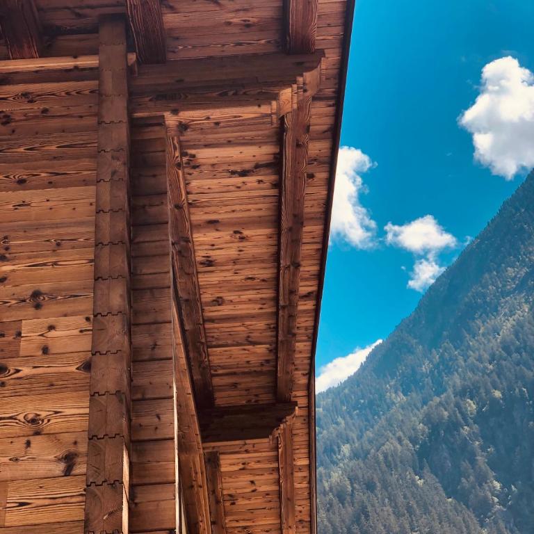 Alp Apart - Chalet con 2 Camere da Letto - 34