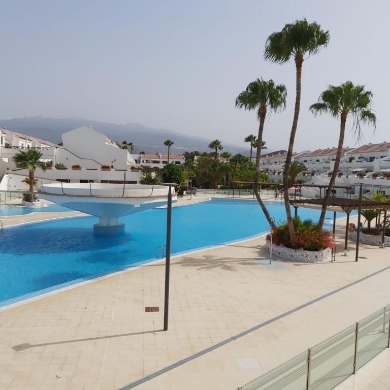 Live Costa del Silencio Don José 204 - Apartamento de 1 dormitorio - 14