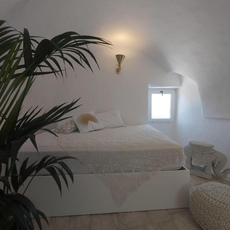 Caterina's Suites & Apartament - Camera Queen Superior - 6