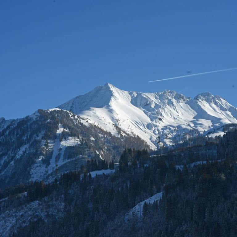 Alpin Lodge Kitzblick - Apartment mit 2 Schlafzimmern - 17