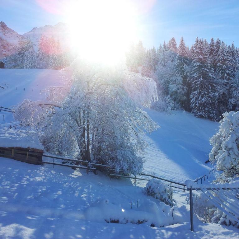 Chalet Viola - Verena's Loft - Apartment mit Blick auf die Berge - 22