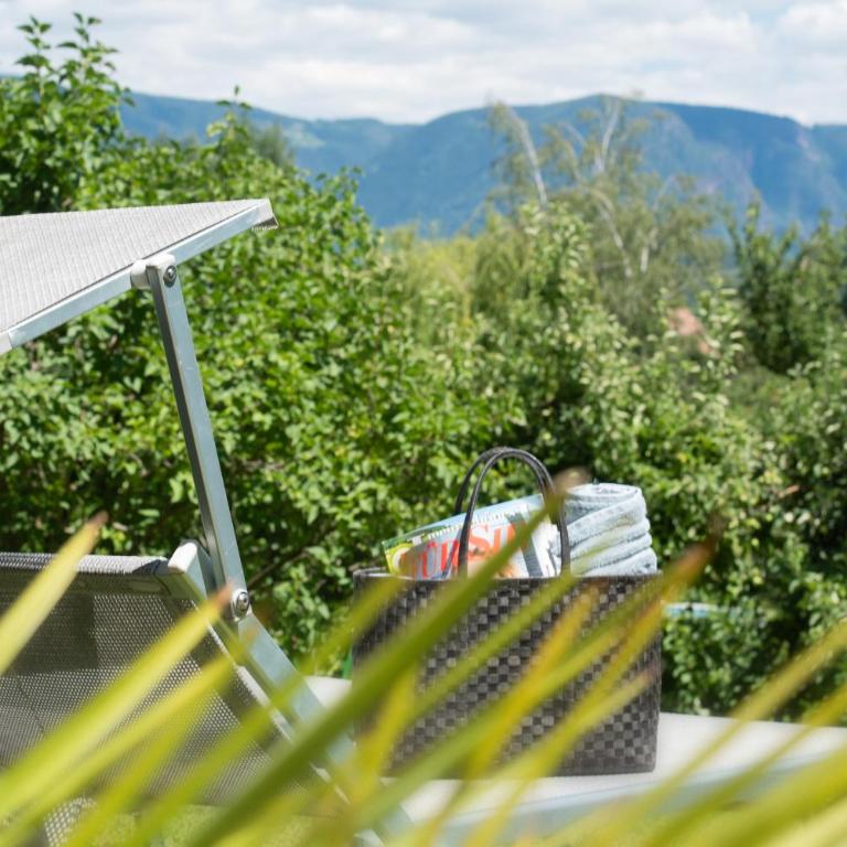 Göllerhof - Appartamento con Terrazza - 9